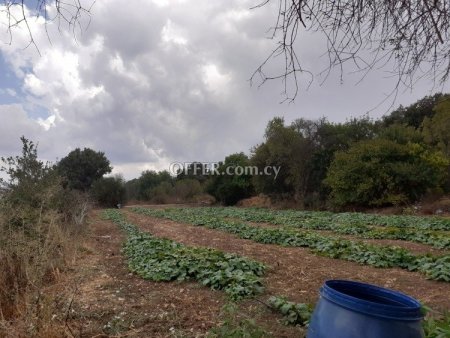 Residential Field for sale in Polemi, Paphos - 4
