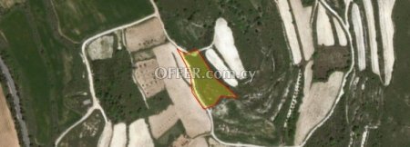 Field for sale in Kathikas, Paphos - 2