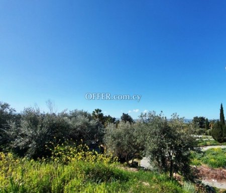 Residential Field for sale in Polis Chrysochous, Paphos - 2