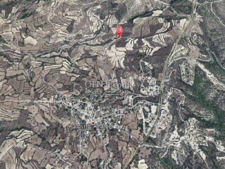Agricultural Field for sale in Amargeti, Paphos - 3