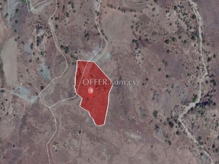 Agricultural Field for sale in Kilinia, Paphos - 3