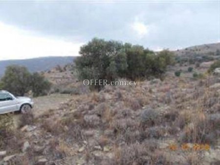 Agricultural Field for sale in Pentalia, Paphos - 4