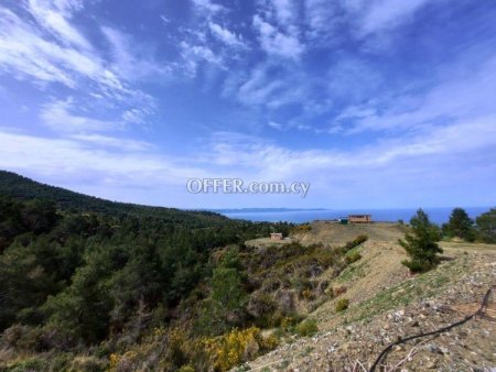 Agricultural Field for sale in Agia Marina (chrysochous), Paphos - 4