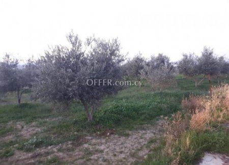 Agricultural Field for sale in Goudi, Paphos - 3