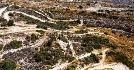 Field for sale in Episcopi Paphou, Paphos - 5