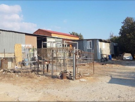 Residential Field for sale in Empa, Paphos - 5