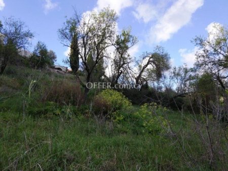 Residential Field for sale in Letymvou, Paphos - 5