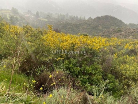 Agricultural Field for sale in Kynousa, Paphos - 3