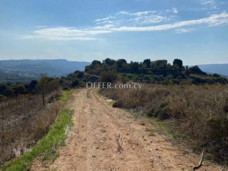 Field for sale in Lemona, Paphos - 4