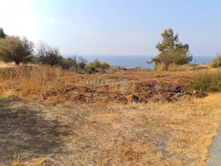 Residential Field for sale in Nea Dimmata, Paphos - 8