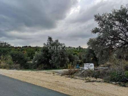 Field for sale in Peristerona Pafou, Paphos - 4