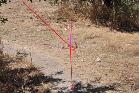 Residential Field for sale in Prodromi, Paphos - 11