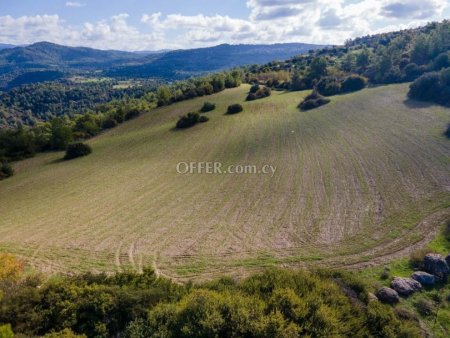 Agricultural Field for sale in Lysos, Paphos - 6
