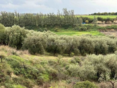 Field for sale in Nikokleia, Paphos - 4
