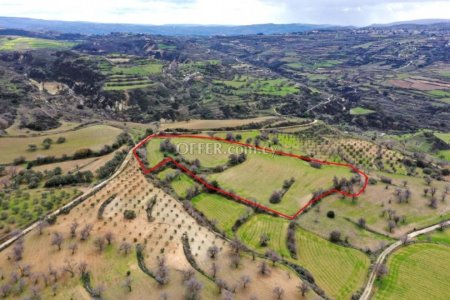 Agricultural Field for sale in Drymou, Paphos - 2
