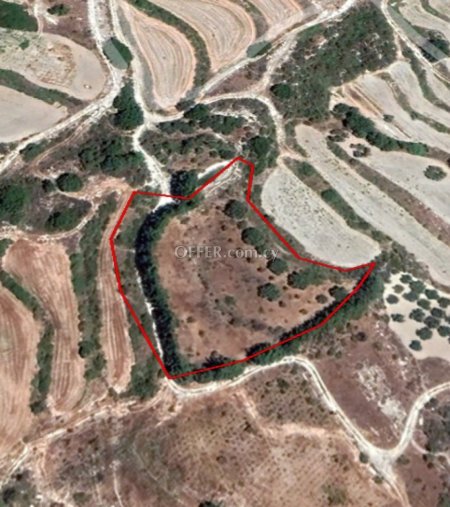 Field for sale in Stroumbi, Paphos - 2