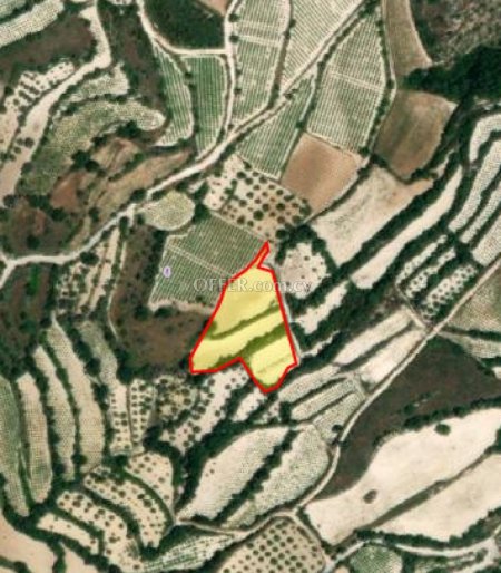 Agricultural Field for sale in Koili, Paphos - 3