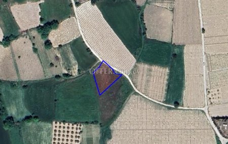 Field for sale in Polemi, Paphos - 3