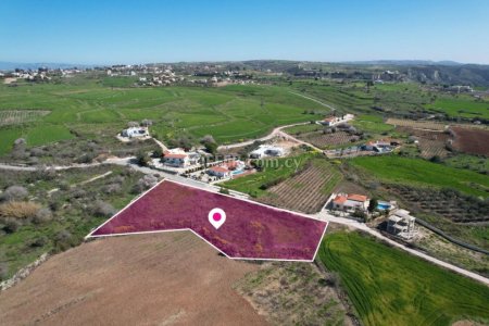 Field for sale in Kathikas, Paphos - 6