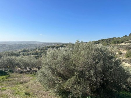 Residential Field for sale in Psathi, Paphos - 11