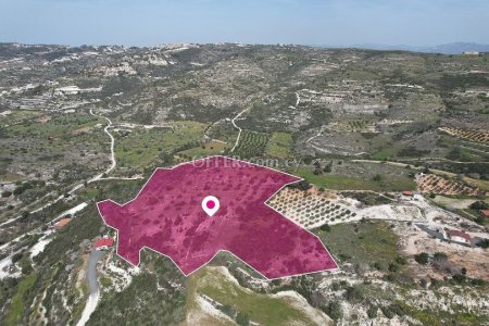 Agricultural Field for sale in Mesogi, Paphos - 4