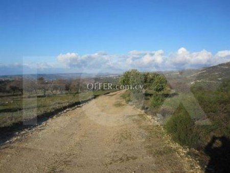 Field for sale in Apsiou, Limassol - 2