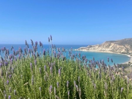 5 Bed Detached House for rent in Pissouri, Limassol - 10