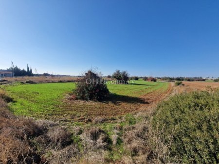 Development Land for sale in Monovolikos, Limassol - 5