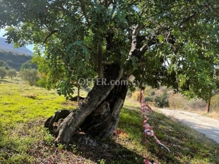 Agricultural Field for sale in Mathikoloni, Limassol - 4