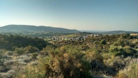Field for sale in Monagroulli, Limassol - 3