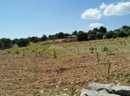 Residential Field for sale in Pachna, Limassol - 5