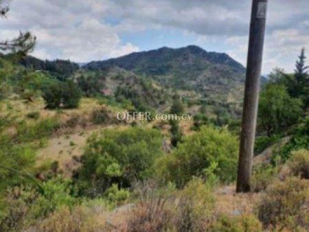 Field for sale in Agros, Limassol - 2