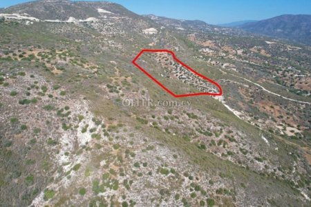 Agricultural Field for sale in Akrounta, Limassol - 2
