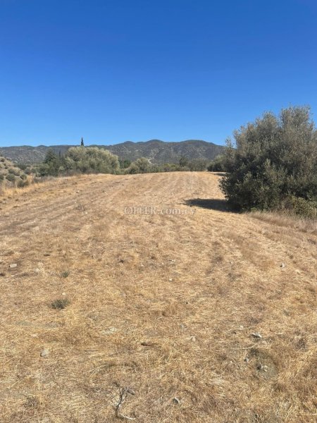 Agricultural Field for sale in Parekklisia, Limassol - 3