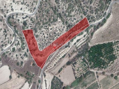 Field for sale in Amargeti, Paphos - 2