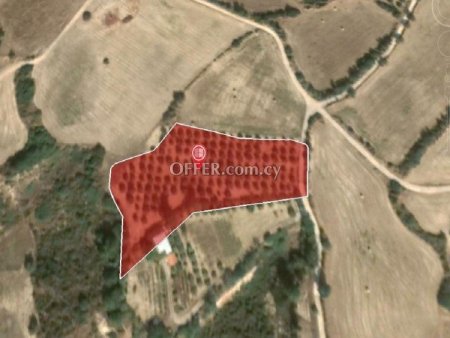 Agricultural Field for sale in Goudi, Paphos - 2