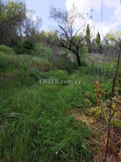Residential Field for sale in Letymvou, Paphos - 4