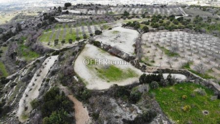 Agricultural Field for sale in Mesa Chorio, Paphos - 3