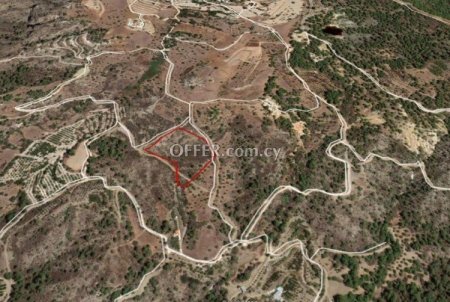 Agricultural Field for sale in Kynousa, Paphos - 2