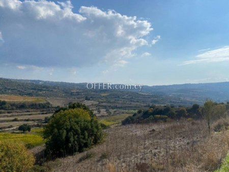 Field for sale in Lemona, Paphos - 3
