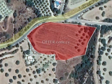 Field for sale in Peristerona Pafou, Paphos - 3