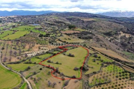 Field for sale in Drymou, Paphos - 2