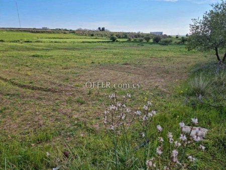 Agricultural Field for sale in Anarita, Paphos - 4