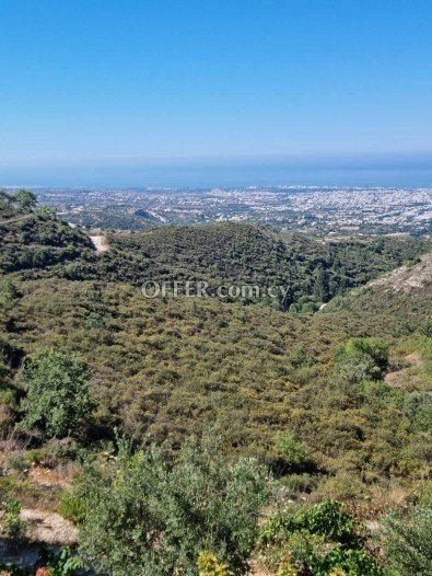 Residential Field for sale in Tsada, Paphos - 3