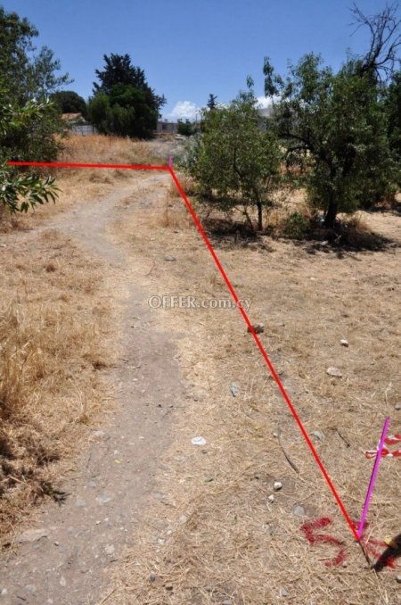 Residential Field for sale in Prodromi, Paphos - 10