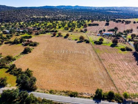 Residential Field for sale in Kouklia, Paphos - 3