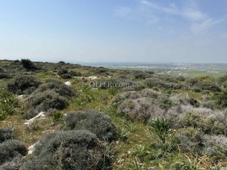 Agricultural Field for sale in Anarita, Paphos - 9