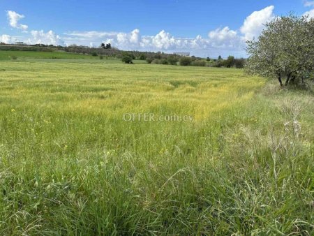 Field for sale in Anarita, Paphos - 5