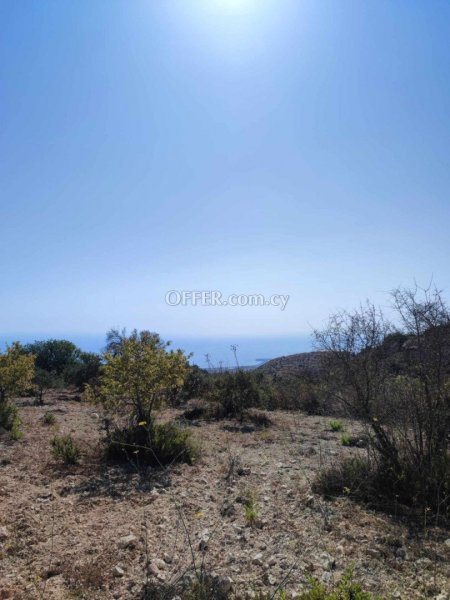 Residential Field for sale in Koili, Paphos - 4
