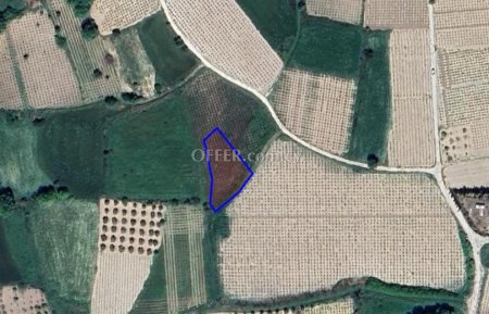 Field for sale in Polemi, Paphos - 2